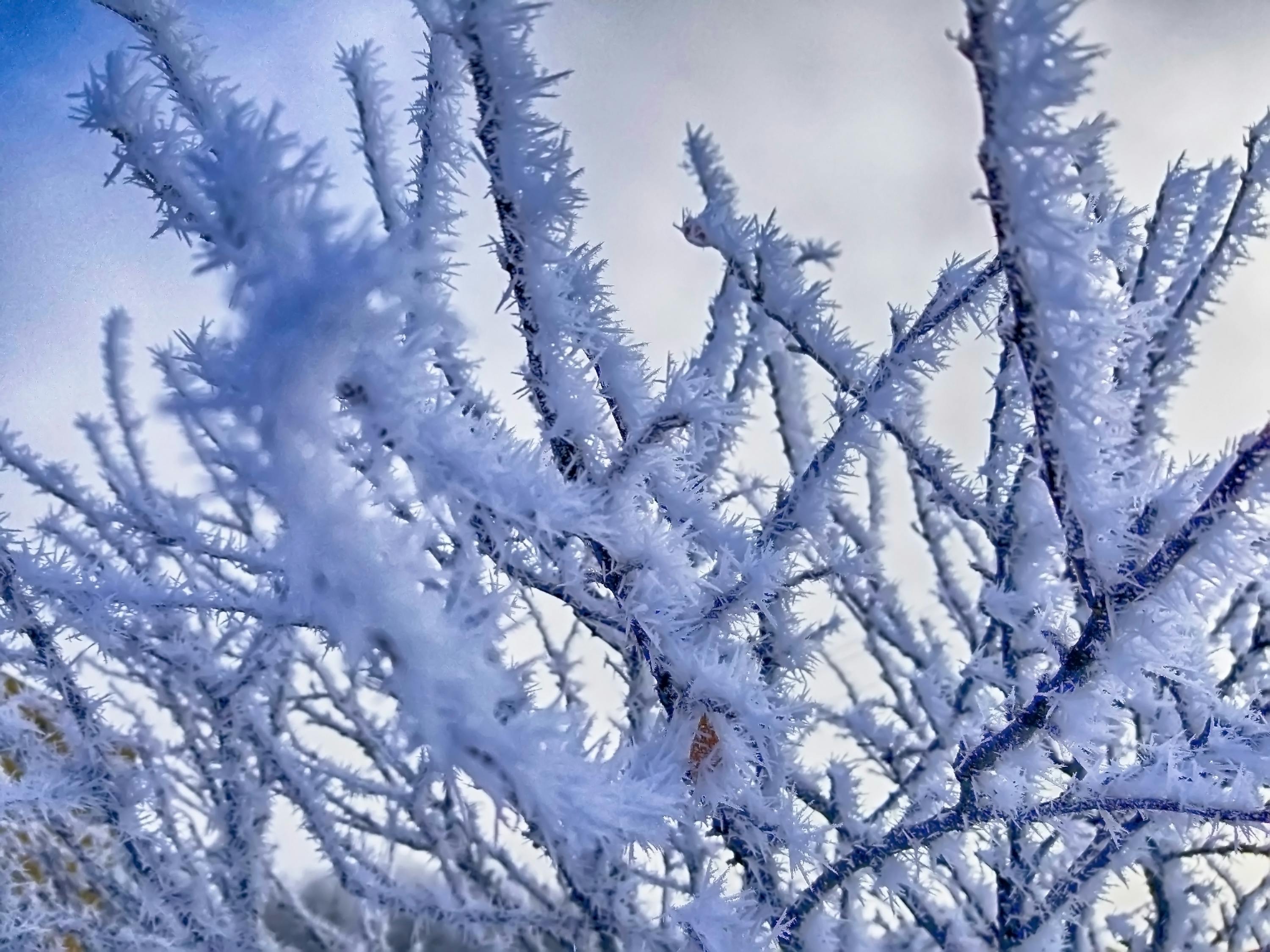 北国奇境，冰雪盛宴——探秘北海道札幌的冬日魅力