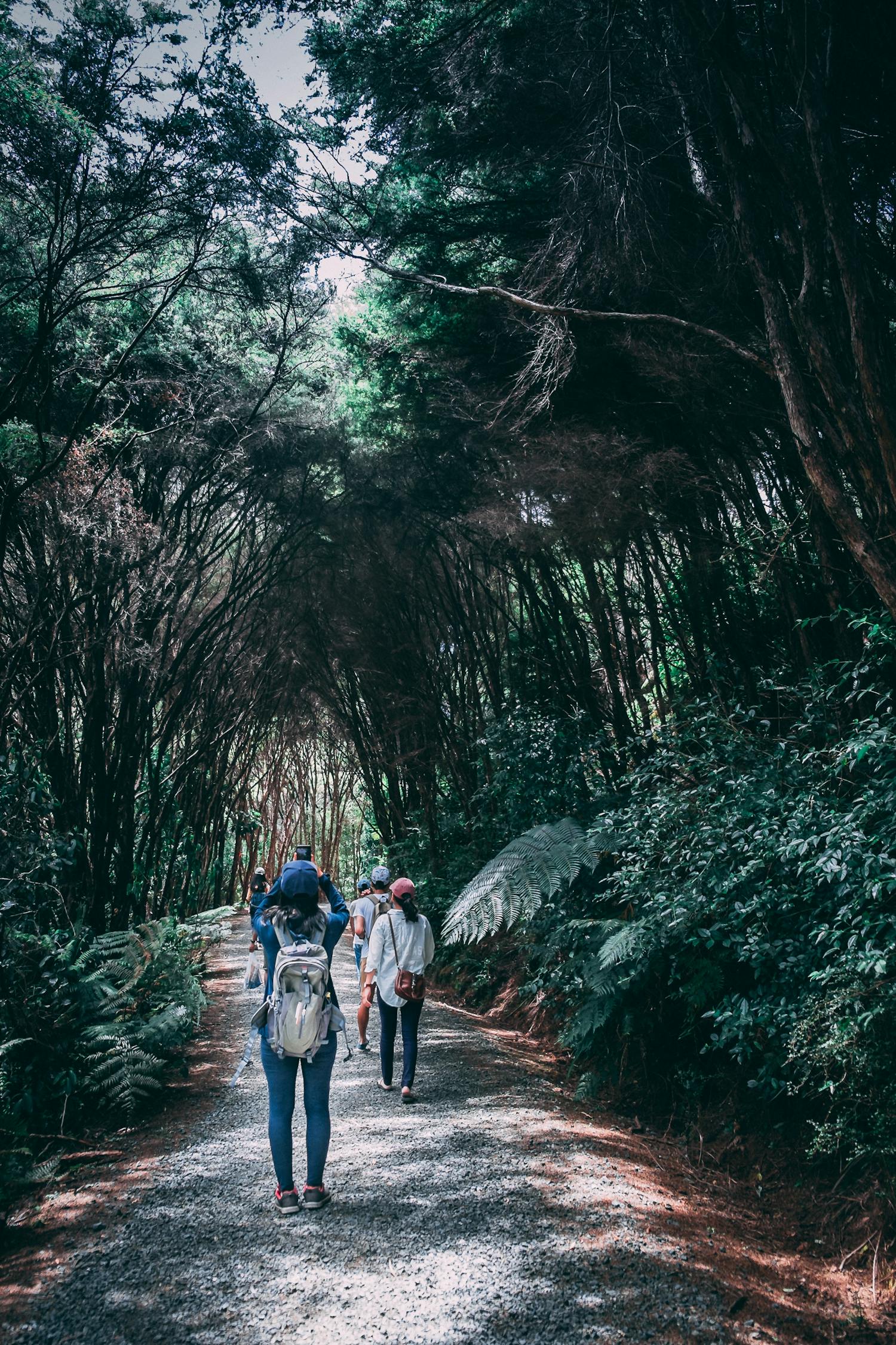 解密杰夫·格林的秘密冒险，从森林到雪山，他的奇异旅程