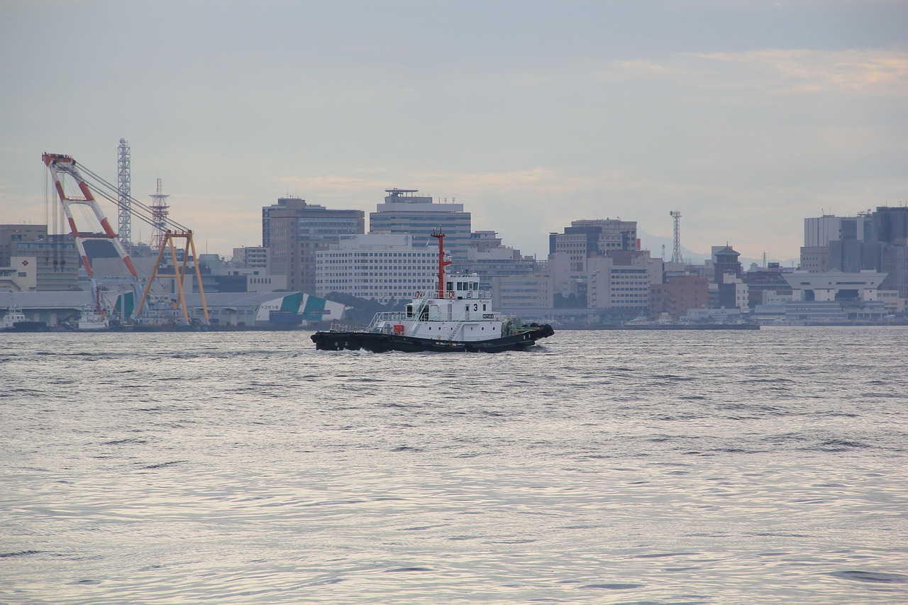 上海海港0-2不敌横滨水手